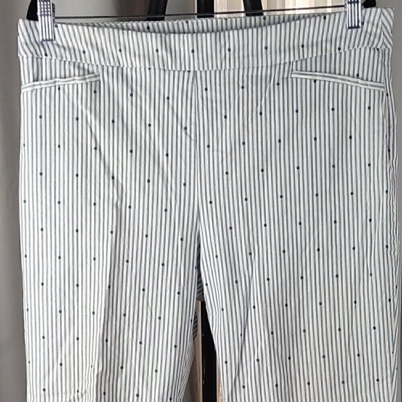 Chico's Womens Blue & White Striped, Polka Dot Cropped Pants Size 3R (16) - Picture 2 of 10